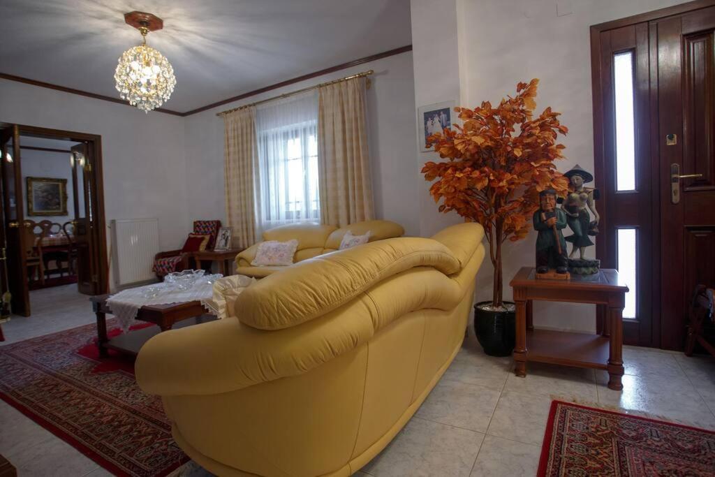 Βίλα Για Όλες Τις Εποχές Του Χρόνου Kozani Exterior photo